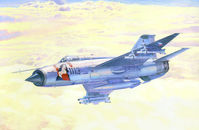 Mig-21 MA Pin up Girl - Image 1