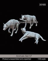 Animals Set 57