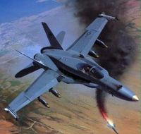 F/A-18C Hornet - American Deck Aircraft - Image 1