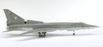 1238_LATO.jpg