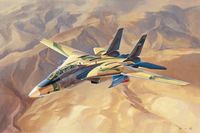 IRIAF Persian Cat F-14A Tomcat - Image 1