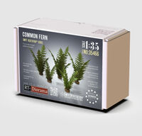 Common Fern Set (3D-Printed)