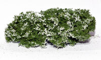 Flowering Shrubs - White