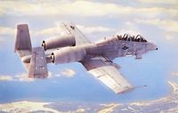 N/AW A-10A  Thunderbolt  II - Image 1