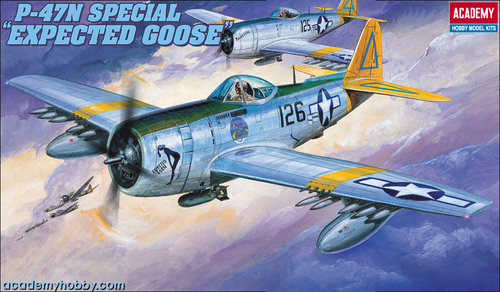 P-47N Special - Image 1