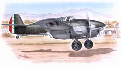 IMAM (Romeo) Ro 57 - Image 1