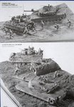 2_tam35132_6.jpg